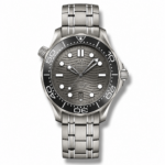 Omega Seamaster Grey Diver 300m Chronometer 42mm